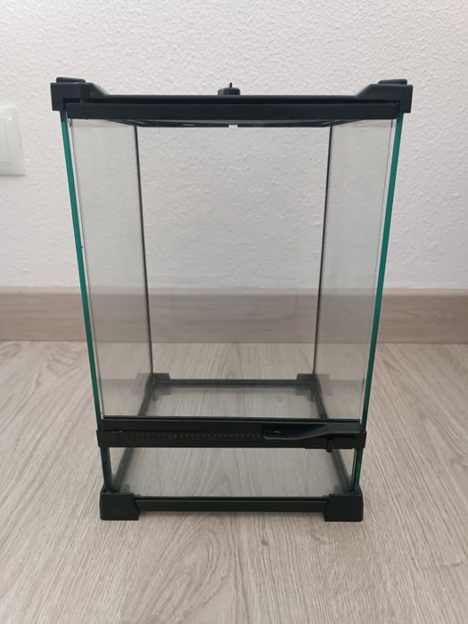 Terrário em vidro