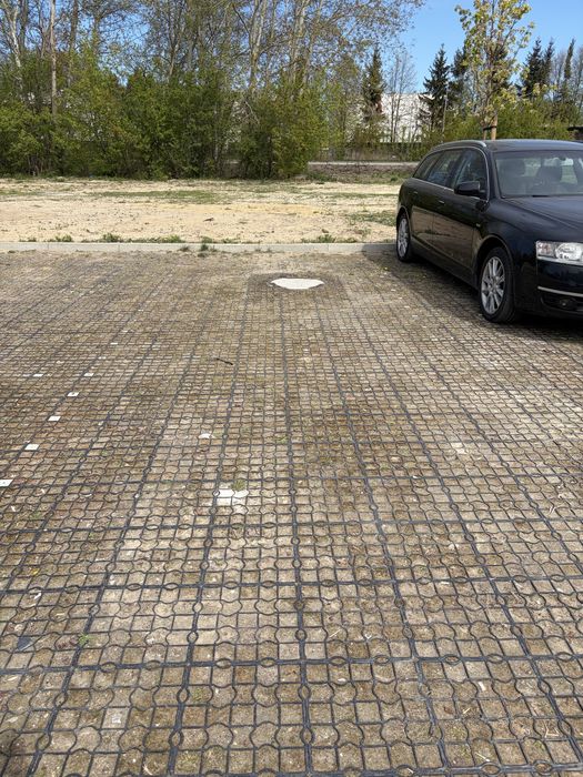 Miejsce postojowe Tukanów 8