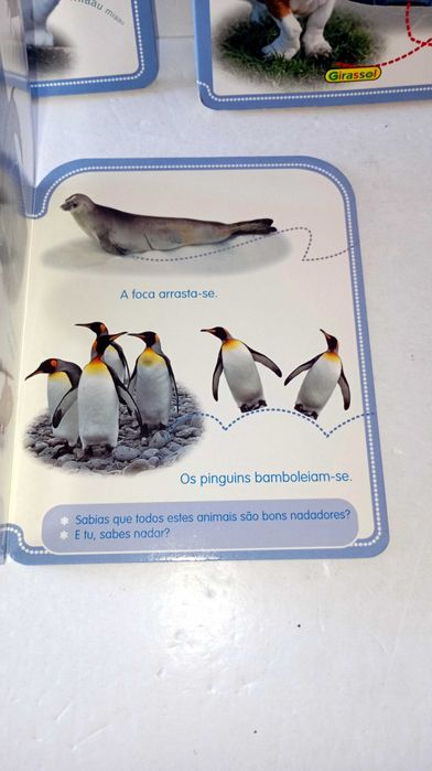 Livros da Coleção - descobre os Animais