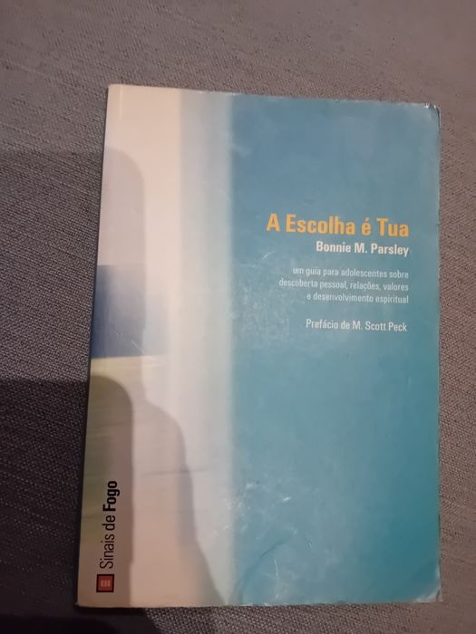 A Escolha é tua - Bonnie M. Parsley