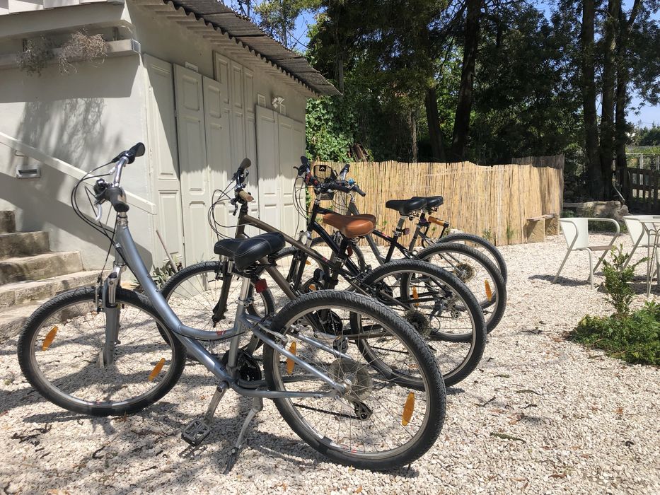 Bicicletas de passeio specialized low entry carmel
