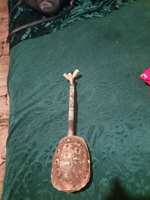 Ukulele ze skorupy żółwia.