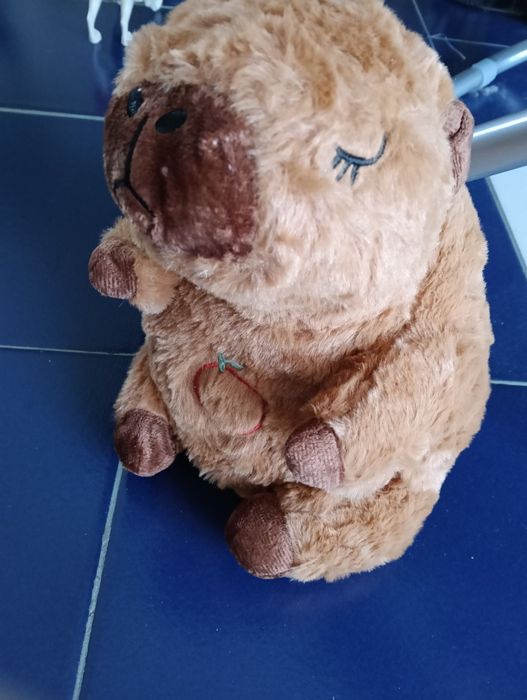 Capivara respira e com som