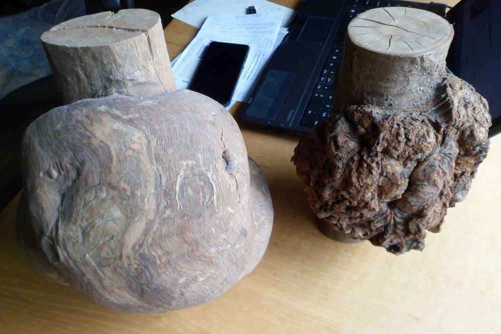 Подарунок сувенір із дерева