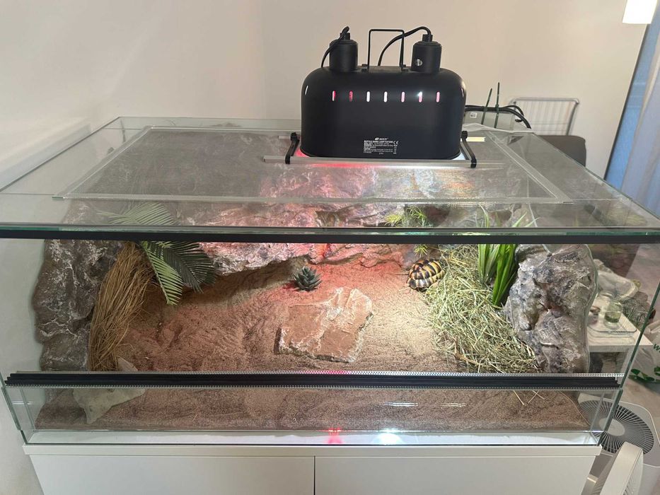 Terrarium ze ścianką\wyposażeniem 85x55x35