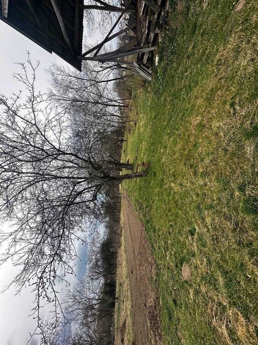 Продається будинок в с. Кричово