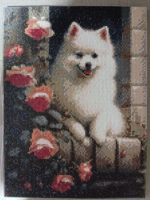 Картини: "Шпіц білий в квітах", ікона, "Квіти у вазі", "Грошовий кіт".