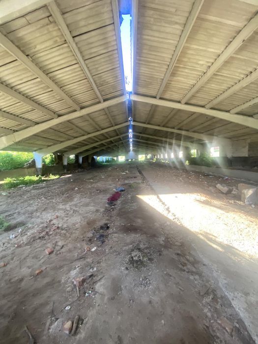 Продається ферма