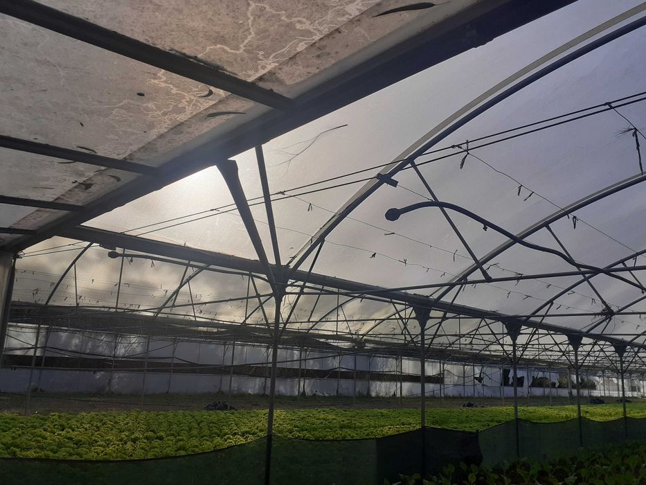 Estrutura de estufas + rega de micro aspersão