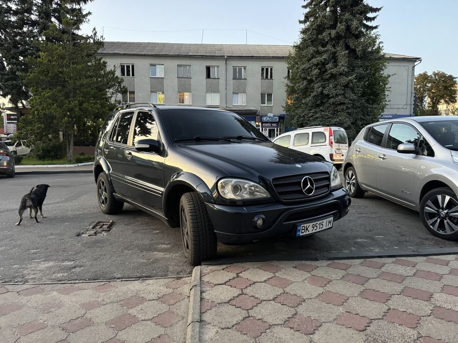 Mercedes benz ML320 w163 2002 року