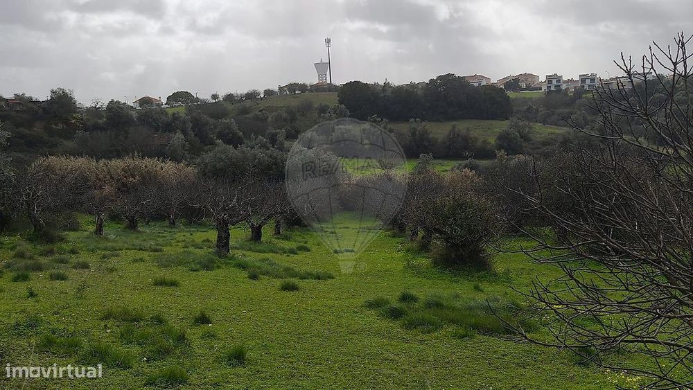 Terreno  para venda