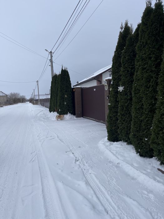 Продам 10 соток під лісом. Забудова. Проців. Бориспіль.