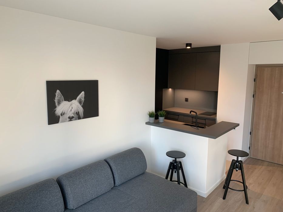 Do wynajęcia kawalerka Szmarzewskiego 45A - Widok 6