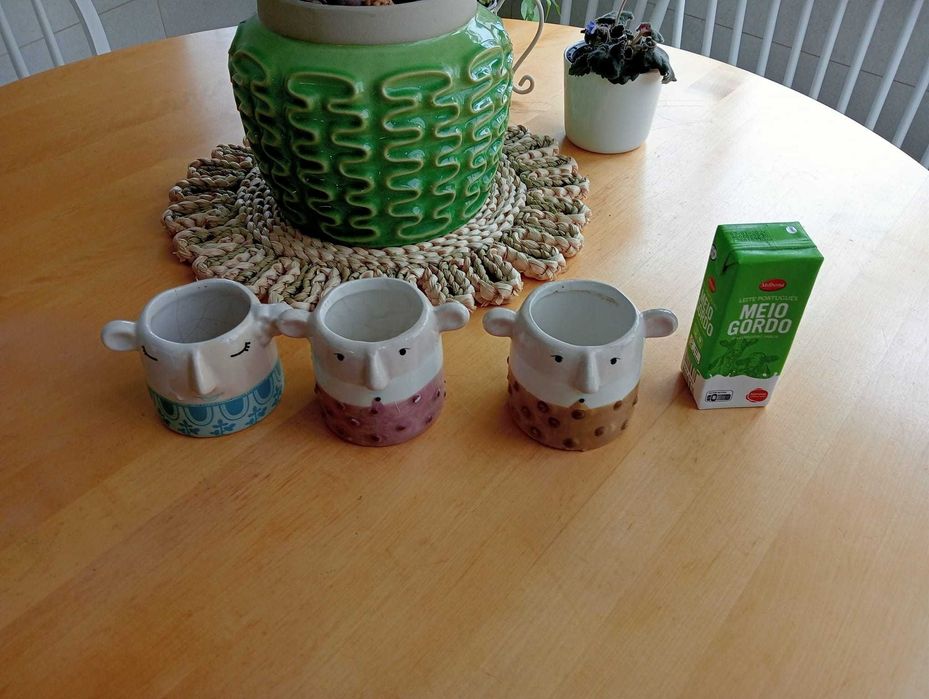 Vasos para plantas ou decoração