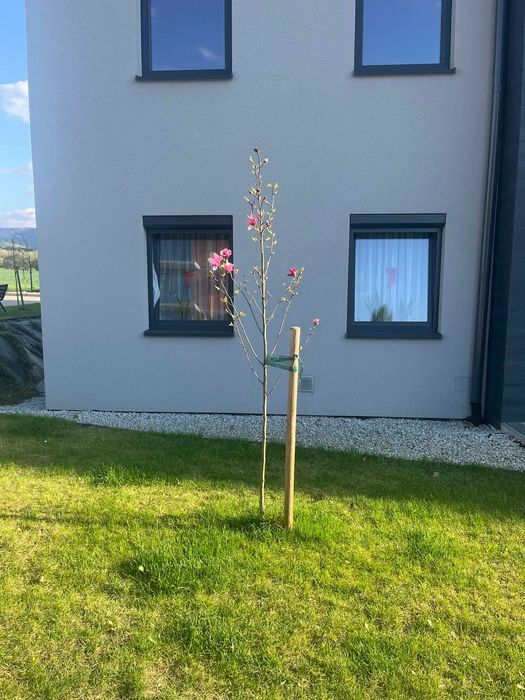 Apartament - 3 pokoje z ogródkiem i miejscem parkingowym w garażu