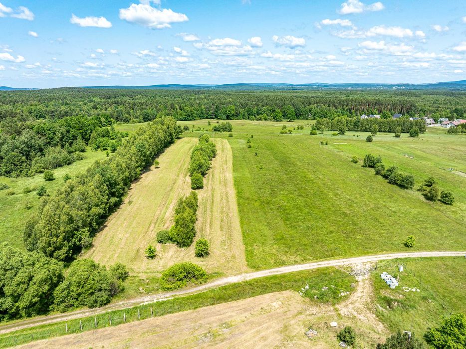 Działka BUDOWLANA o pow. 1251m2 okolice BORKOWA - 20 minut od KIELC