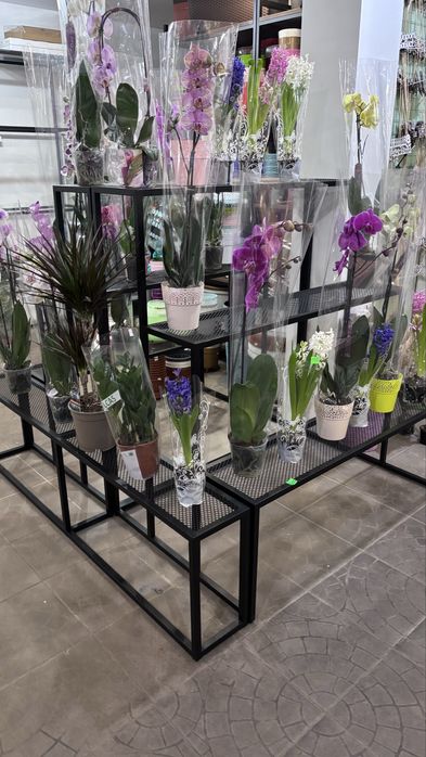 Стелаж для квітів / Підставки для квітів / Меблі для квіткового