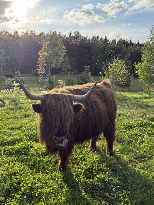 Serwis pomp próżniowych – naprawa, wymiana, szybka pomoc