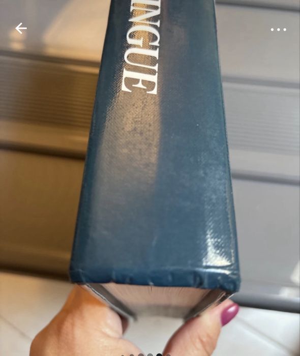 Dicionario multilingue