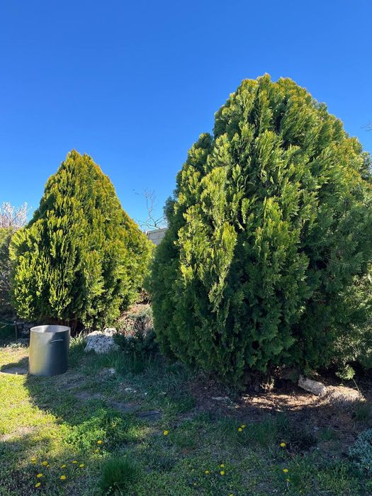 Продаю 2  хороших Дома ( Торговая )  Корабельный     503-#2