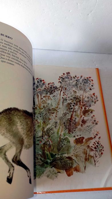 O Meu Primeiro Livro de Zoologia - Livro Antigo