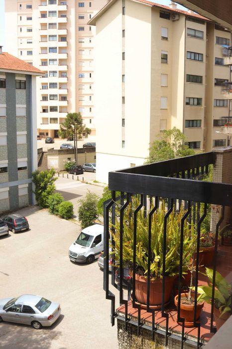 T4+1 Solum com 142 m² | Excelente Exposição Solar e Elevador