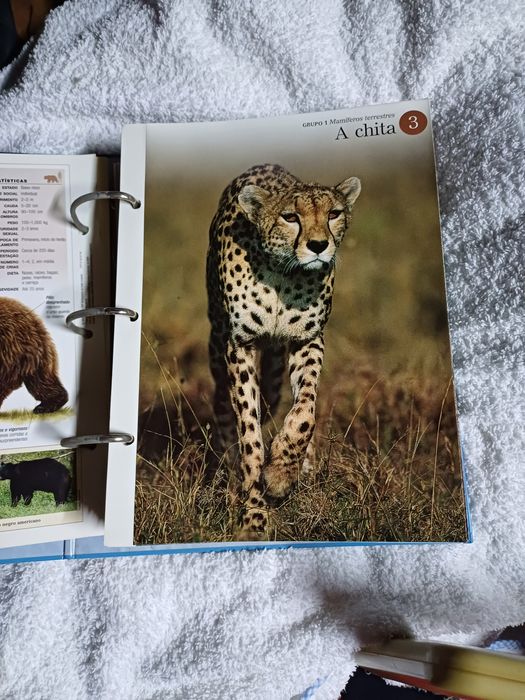 Enciclopédia  Mundo Animal