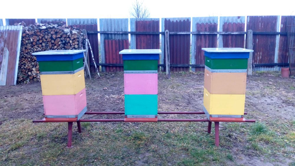 Ule wielkopolskie drewniane jednościenne