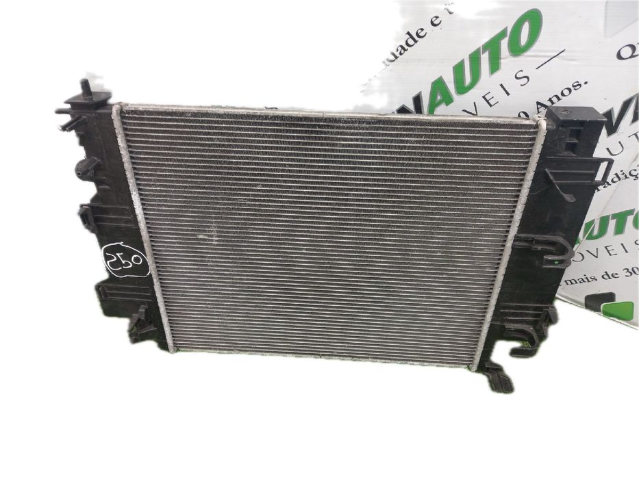 Radiador de água SMART ForFour (453)