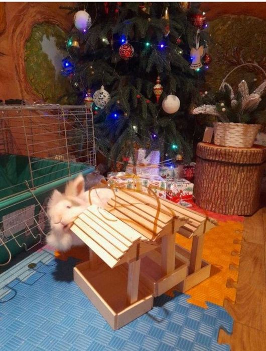 Дерев'яна невеличка годівниця для птахів