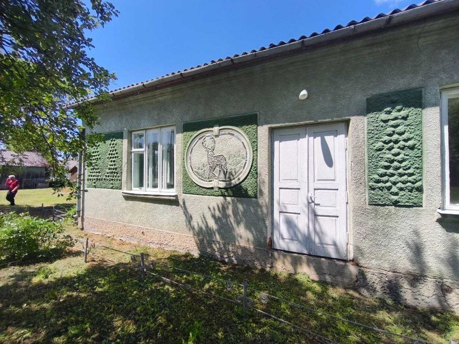 будинок у мальовничому селі біля гір