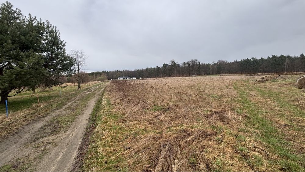 Działka Olbrachtów  1,1h. rolna z warunkami zabudowy - View 3