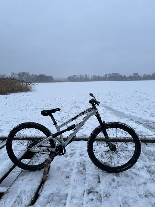 dartmoor shine 2023 custom!!