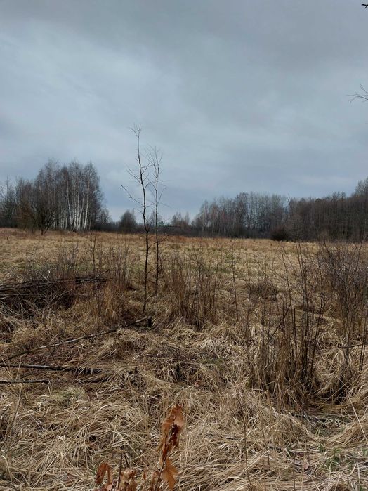 Duża działka inwestycyjna przy DK86