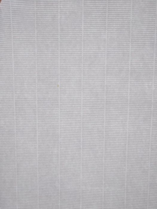 Папір 100 г/м2 з захистом, водяні знаки, Словенія