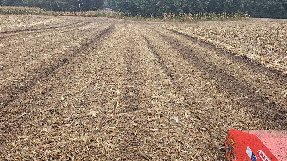 MULCZER młotkowy MASCHIO GASPARDO BUFALO z wałem i przesuwem bocznym