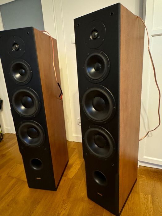 Dynaudio audience 82