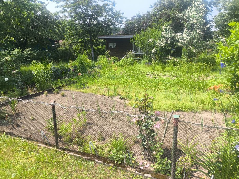 Działka ROD Niekłonice koło Koszalina rezerwacja - Widok 4