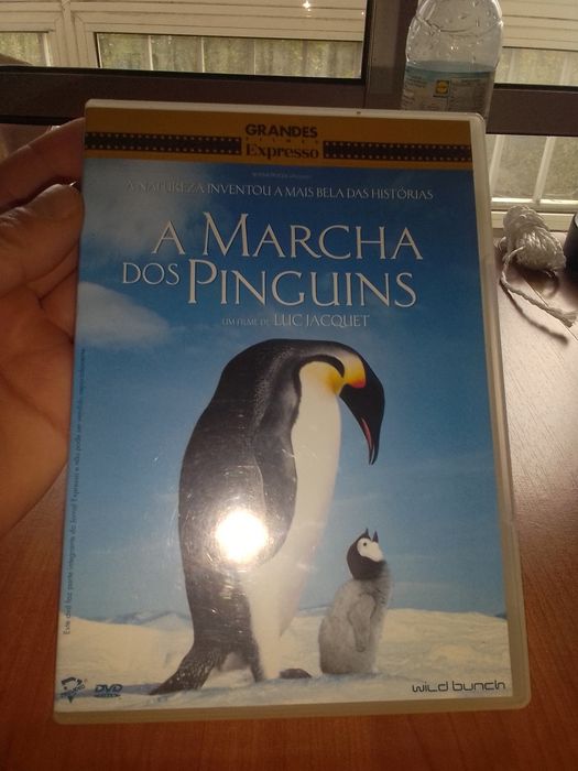 Dvd filme a marcha dos pinguins em bom estado para desocupar