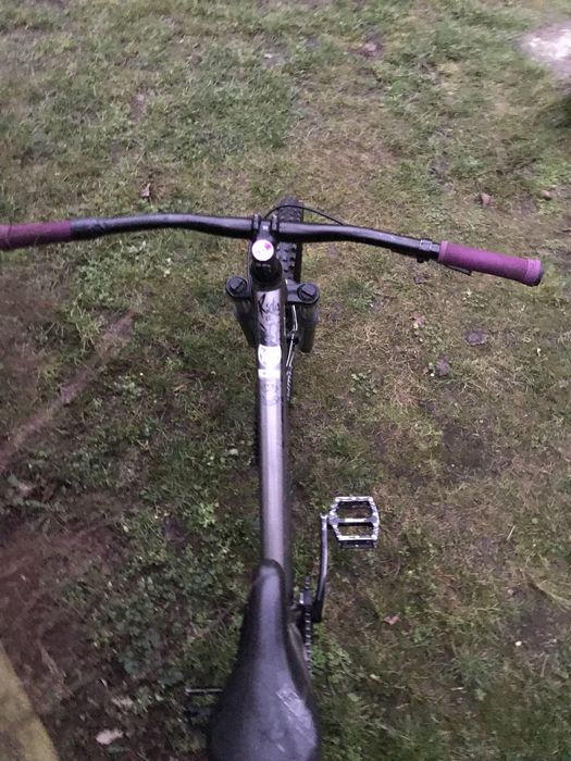 Rower dirt kellys whip 10