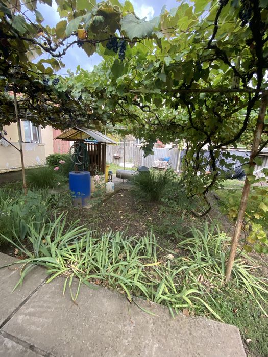 ‼️Продам будинок в Берегові