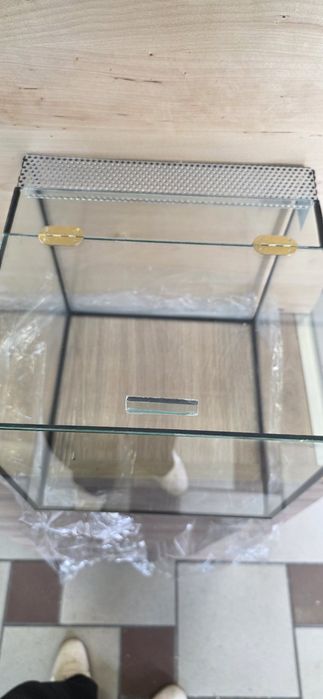 Nowe małe terarium