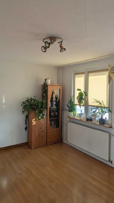 Wynajem mieszkania 2 pokojowego Gaj, Wrocław