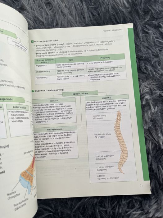 Biologia na czasie 2 (zakres podstawowy)