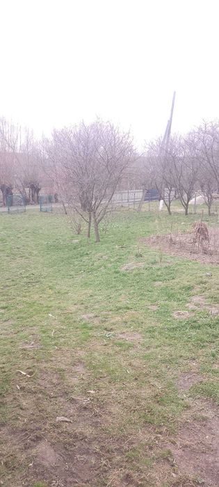 Продаж будинку з приватизованою земельною ділянкою в с. Черхава