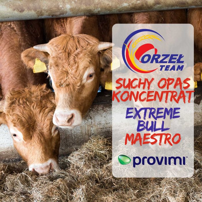 Koncentrat dla bydła opasowego ExtremeBull Maestro, Suchy OPAS