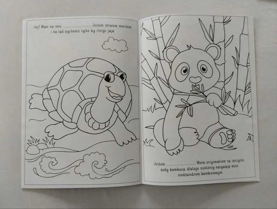 Kolorowanki, malowanki, 6 szt