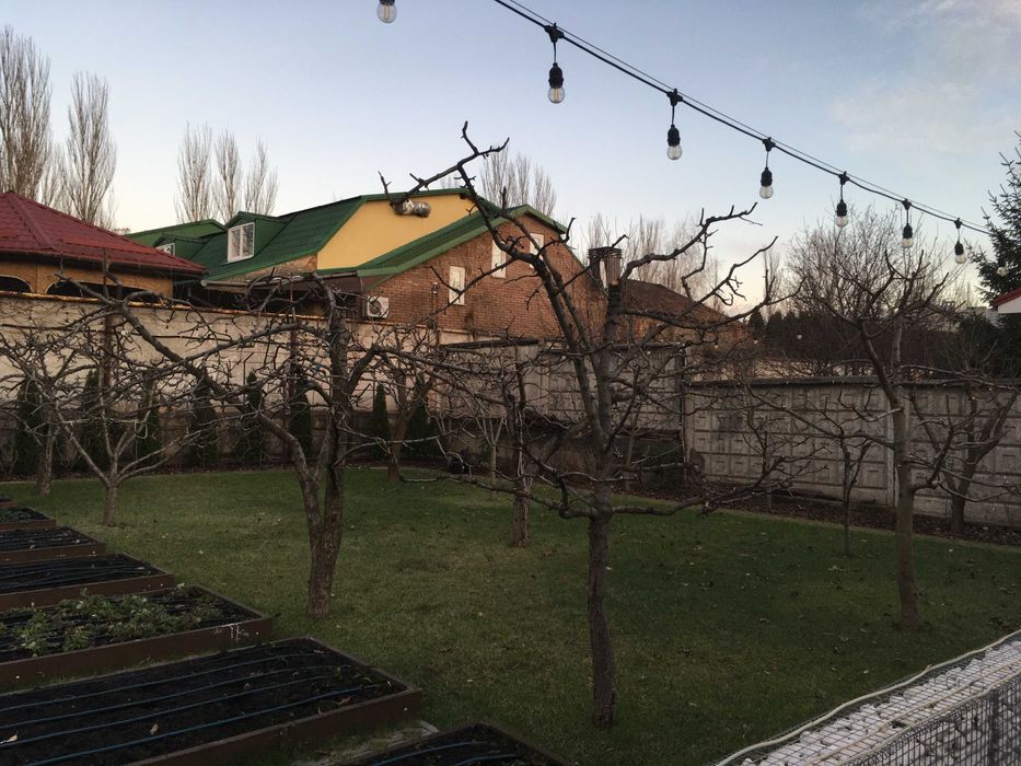 Топіарна стрижка.Нівакі.Скарифікація