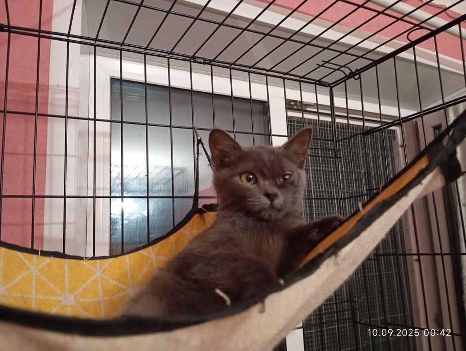 Малюк шукає маму