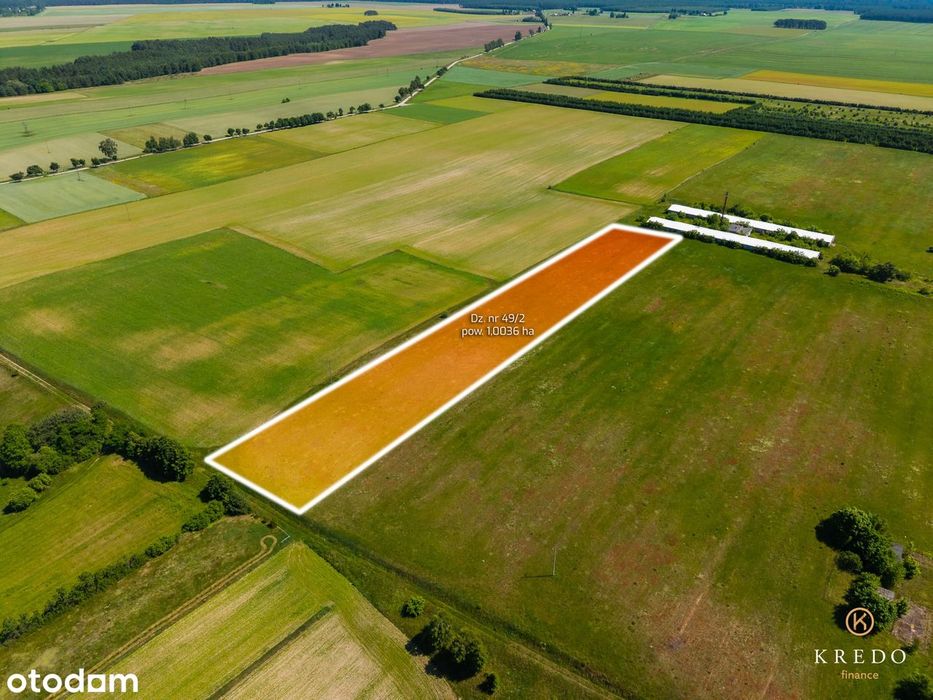 Działka budowlana 1,0036 ha | WZ | Duży potencjał inwest. | Koczała